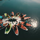 Airboard Gutschein CHF 50.-